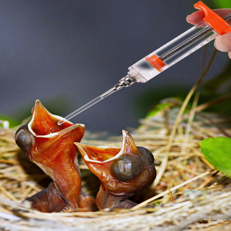 Bird Feeding Syringe Kit - 10ml/20ml | Parrot Chick Hand Feeder | Easy to Clean | Sick Bird & Emergency Feeding Tool | Food-Grade Gavage Tubes