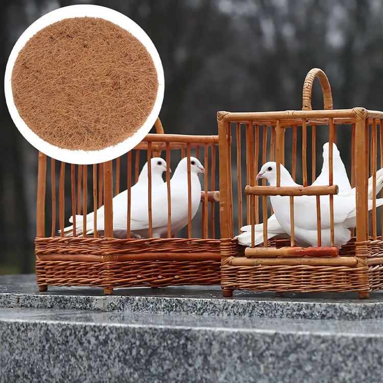 10pcs Coconut Fiber Bird Nesting Pads | Round Pigeon Mat Liners | Breeding Nest Material for Parrots, Doves & Cage Birds