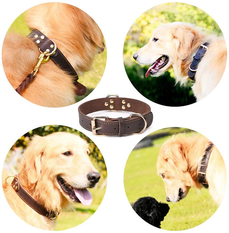 Leather Dog Collar with Quick Release – Durable Pet Collar for Small to Large Dogs