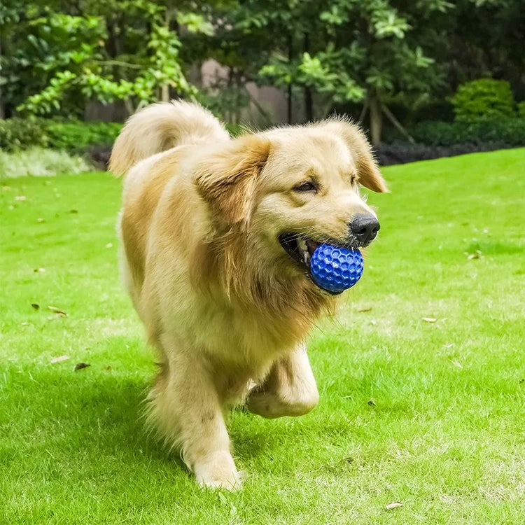 Durable Honeycomb Dog Toy Ball – Interactive Bite-Resistant Sound Toy