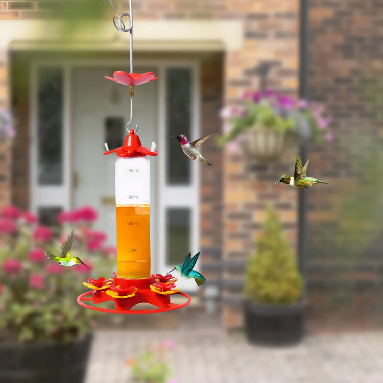 Hummingbird Feeder | Hanging Bird Water Drinker | Leakproof Feeder | Outdoor Garden Decoration