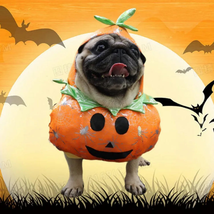 Funny Dog & Cat Costume | Pet Sweatshirt Stand-Up Suit | Cosplay Outfit for Party & Festival