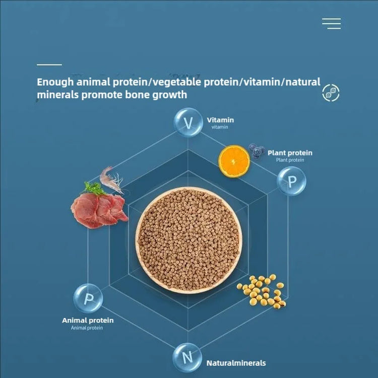 Automatic Fish Feeder with Adjustable Portion Control – 5 Gears, 500g Capacity