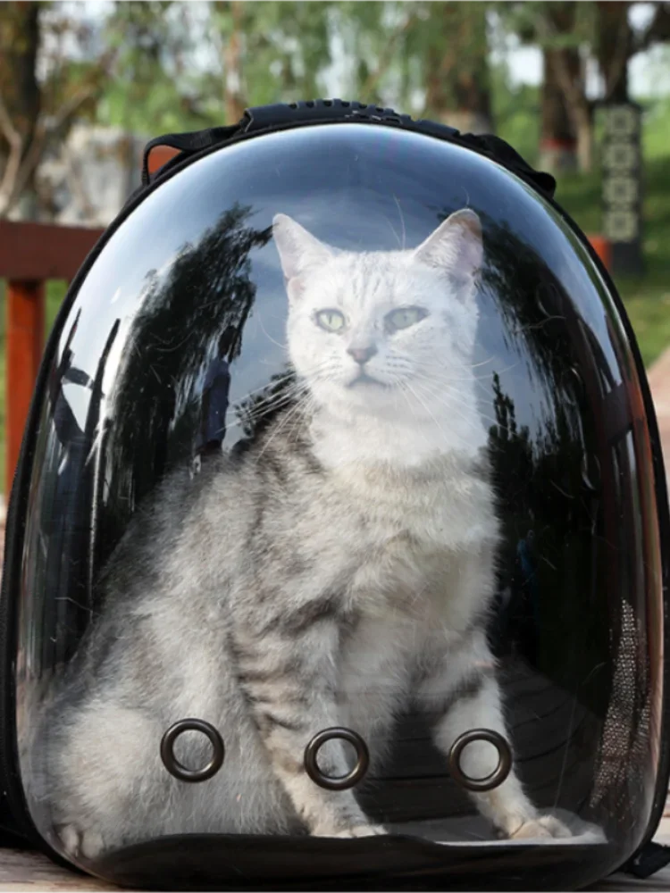 Cat Carrying Bag | Space Pet Backpack | Transparent Portable Dog Carrier