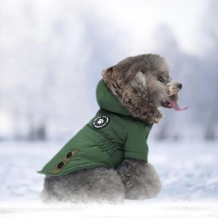 Cat/Dog Down Jacket | Hoodie Coat | Warm Thick Padded Winter Vest | Pet Clothes for Small Dogs