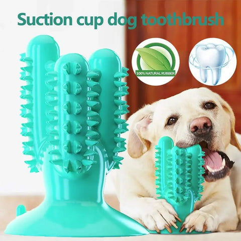 Interactive Dog Toothbrush Toy – Durable Chew Toy for Teeth Cleaning and Training