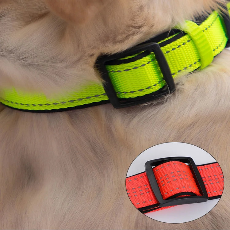 Reflective Padded Dog Collar – Durable Nylon with Double D Ring and Safety Buckle