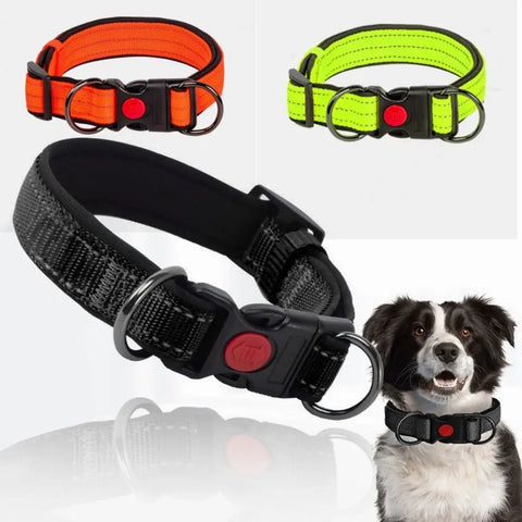 Reflective Padded Dog Collar – Durable Nylon with Double D Ring and Safety Buckle