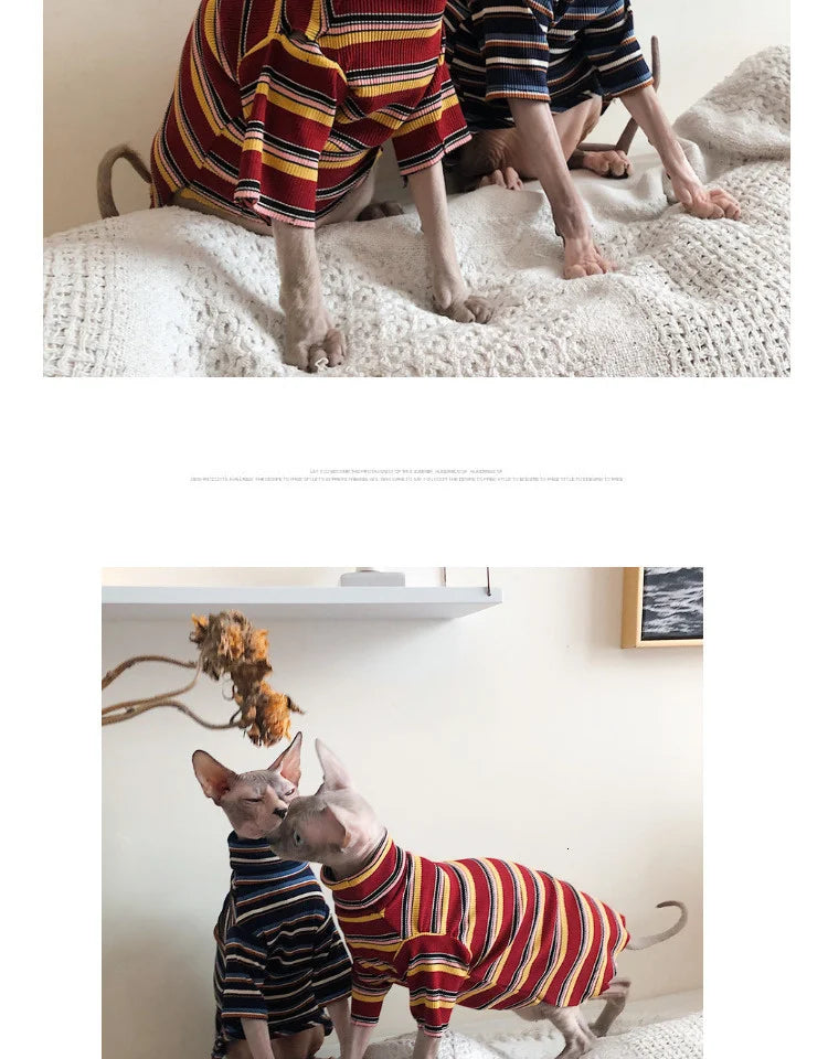 Striped Knitted Cat Clothes for Sphynx | Warm Vest for Hairless Cats | Autumn/Winter Outfit (XS–XL)