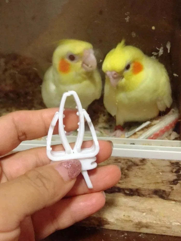 Cute Small Pet Bird Food Holder | Parrot Fruit & Veggie Clip | Cuttlefish Bone Feeder | Cage Clamp Tool | Accessories for Canaries & Cockatiels