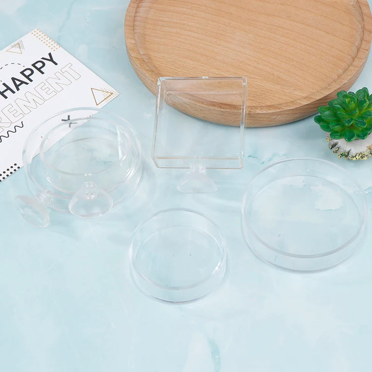 Acrylic Transparent Shrimp Feeder – Lightweight Durable Fish & Shrimp Feeding Container