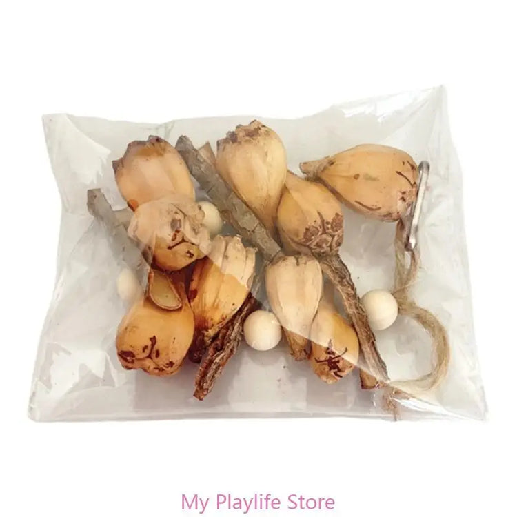 Colorful Block Bird Toy | Beak Grinding Toy | Parrot Chew Toy | Promotes Beak Health | Bird Training & Entertainment