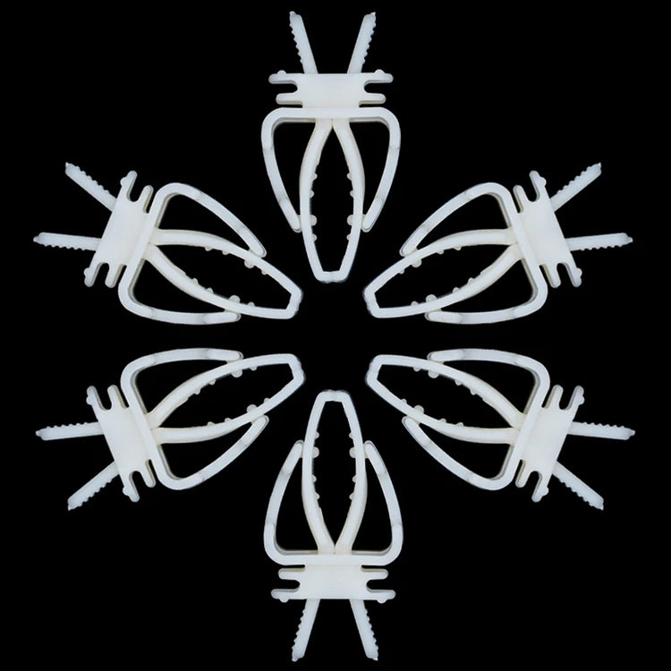 2Pcs Cute Small Pet Bird Food Holder | Parrot Fruits Vegetables Clip | Cuttlefish Bone Feeder Device Clamp | Bird Cage Accessories