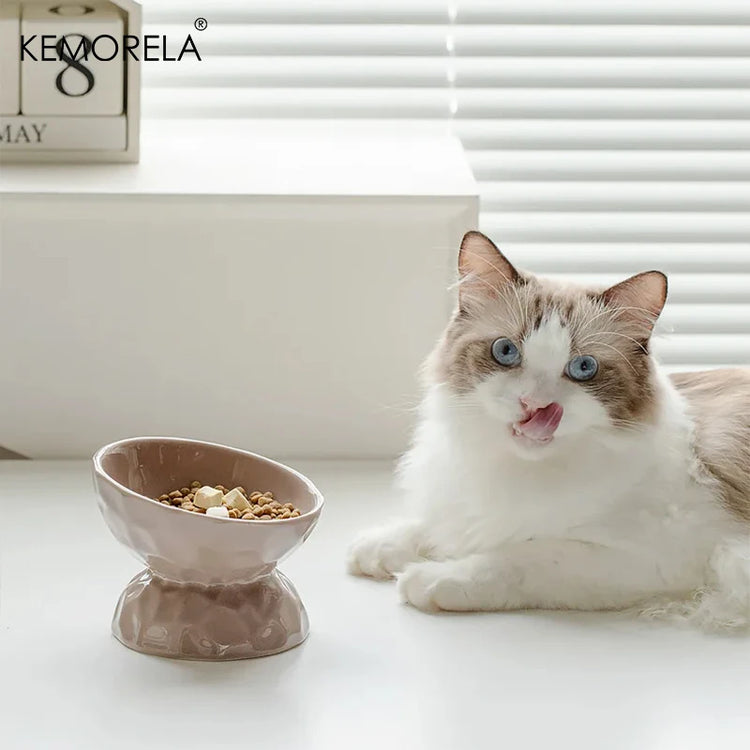Cat Ceramic Bowl | Gradient Pet Food & Water Feeders | Small Dogs Drinking & Eating Supplies | Raised Tilted Cats & Puppy Feeding Supplies