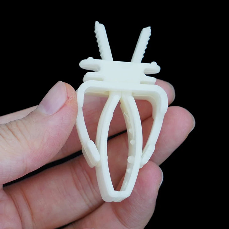 2Pcs Cute Small Pet Bird Food Holder | Parrot Fruits Vegetables Clip | Cuttlefish Bone Feeder Device Clamp | Bird Cage Accessories