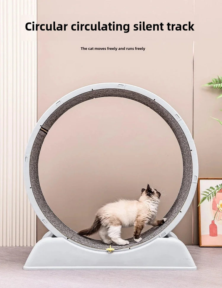 Pet Treadmill – Cat Exercise Wheel for Indoor Parkour | Easy-to-Assemble Cat Roller Toy | Durable Solid Color Cat Treadmill