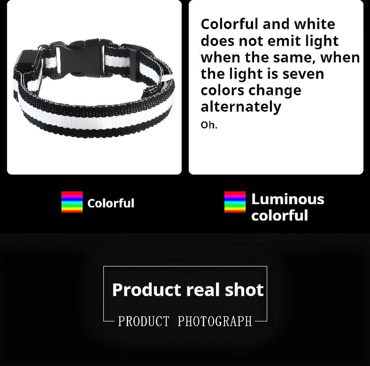 Nylon LED Dog Collar | Night Safety Flashing Glow In The Dark | Dog Leash | LUminous Fluorescent Dog Accessories Collar