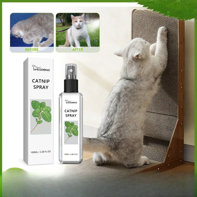 Natural Catnip Spray | Happy Water Formula for Cats | Promotes Appetite | Relieves Anxiety | Boosts Vitality | Pet Training Aid | Mood Enhancer