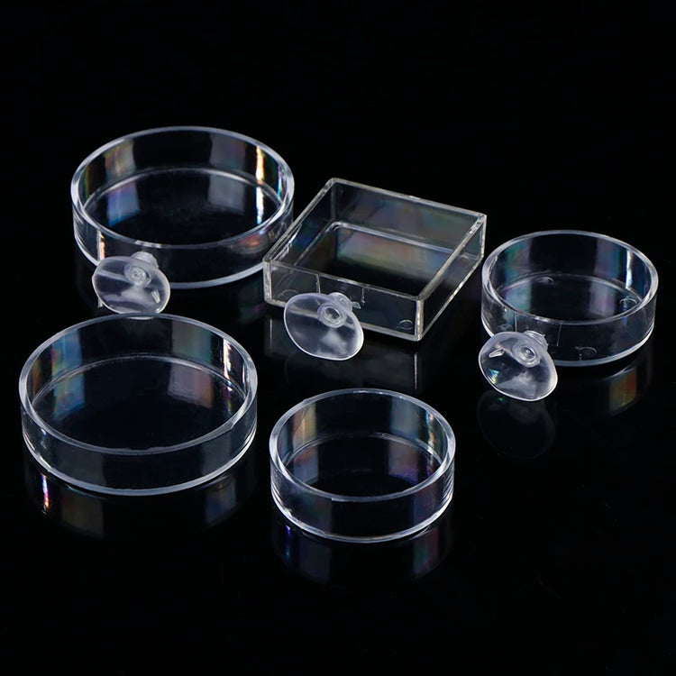 Acrylic Transparent Shrimp Feeder – Lightweight Durable Fish & Shrimp Feeding Container
