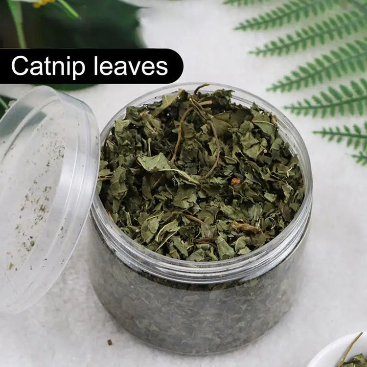 Natural Catnip | Organic Premium Catmints | Cat Toy Cataria | Eliminating Cats Hairballs | Absorbing Foods | Vitamin Supplement