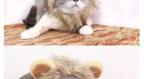 A HAT FOR CAT | Cute Costume Cap | Adjustable Warm Hat | Soft Cat Headwear | Small Pet Outfit | Funny Cat Hat | Pet Accessories