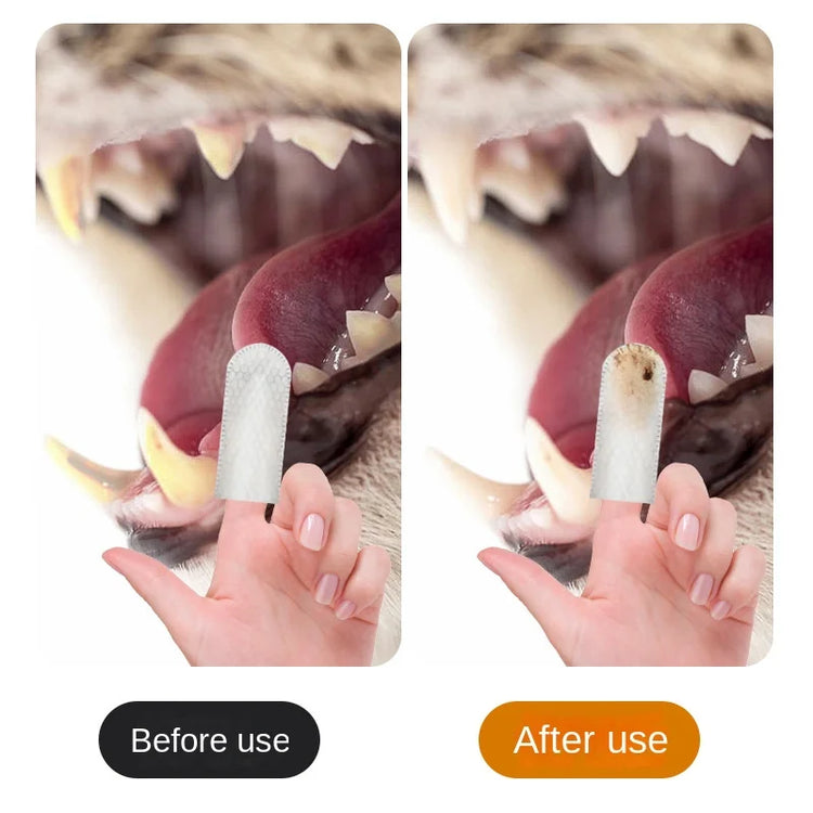 Dog & Cat Teeth Cleaning Finger Wipes – 50pcs | Disposable Dental Care Wipes for Pets