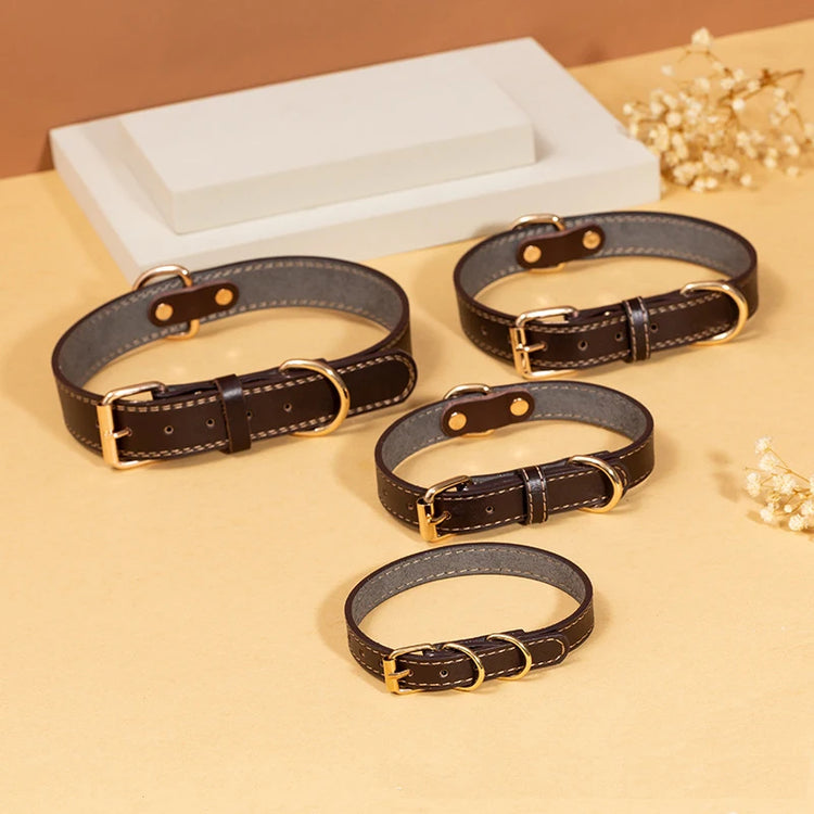 Leather Dog Collar with Quick Release – Durable Pet Collar for Small to Large Dogs