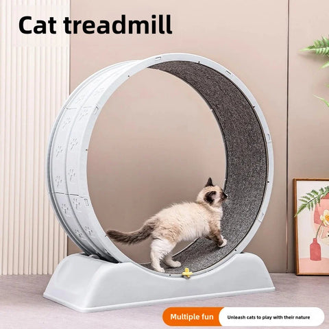 Pet Treadmill – Cat Exercise Wheel for Indoor Parkour | Easy-to-Assemble Cat Roller Toy | Durable Solid Color Cat Treadmill