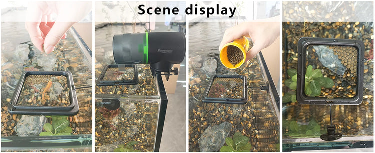 Aquarium Feeding Ring Floating Food Tray with Suction Cup – Square Fish Feeder (Black & Blue)