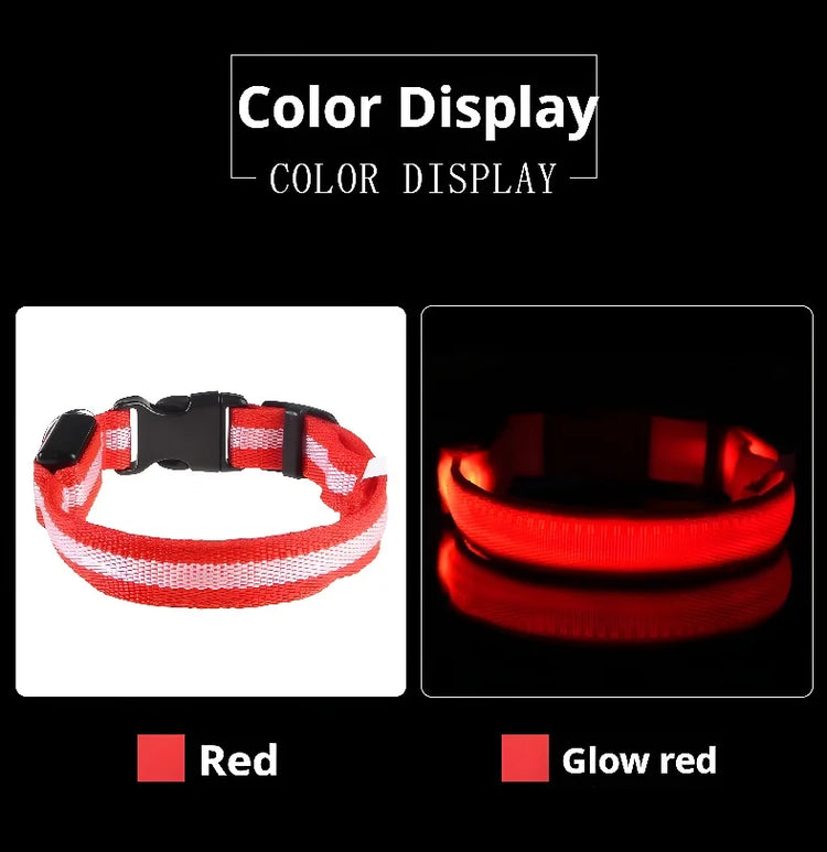 Nylon LED Dog Collar | Night Safety Flashing Glow In The Dark | Dog Leash | LUminous Fluorescent Dog Accessories Collar