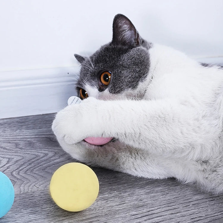 Crazy Cat Toy | Imitating Animal Sounds | Ball Toys for Cats | Ragdoll Siamese Persian | Funny Kitten Gaming Time | Juguetes para Gatos