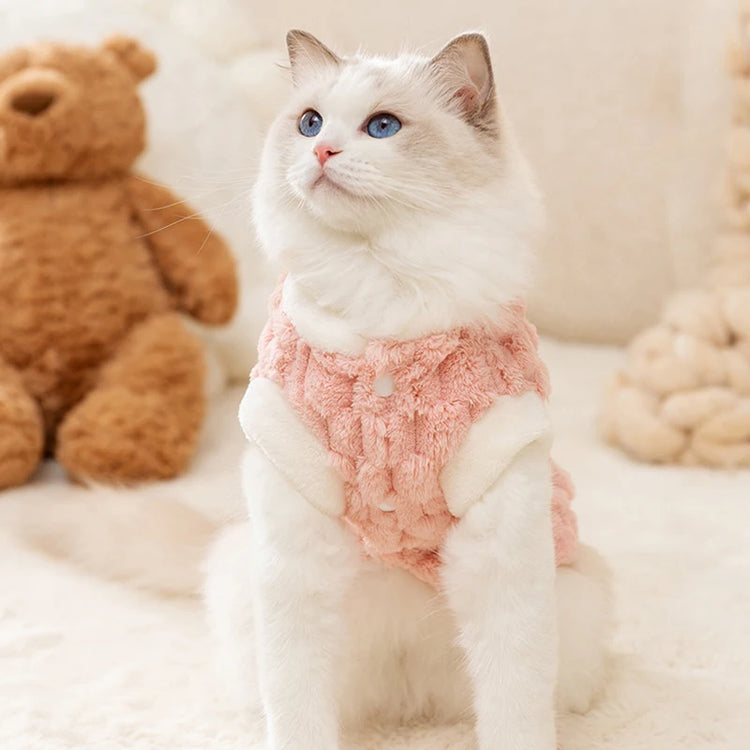 Winter Warm Hairless Cat Clothes | Buckle Cardigan Sweater For Sphynx, Ragdoll, Siamese & Persian Cats