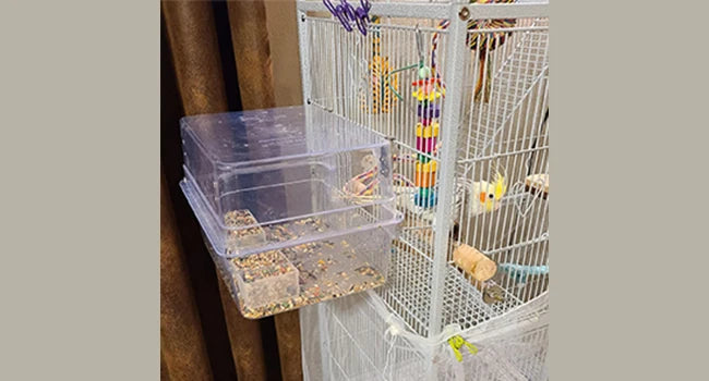 Bird Bath Shower Bathtub Box Large Hanging Clear Transparent Cube for Parrots Cage Accessories Bowl