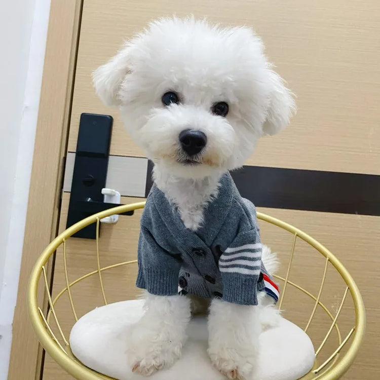 Cat Dog Clothes | Autumn Winter Sweater | Fashion Cardigan | English Short & Blue Cat | Teddy Chenery | Warm Wool Pet Clothing