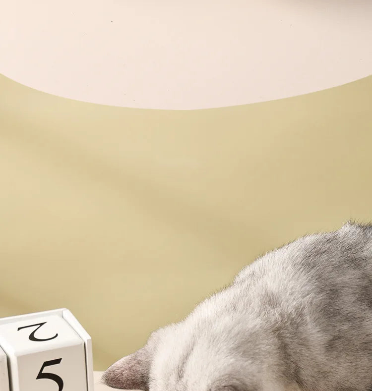 Ceramic Cat Bowl | Food & Water Bowl for Cats/Dogs | Double Ceramic Bowl Set | Cervical Protection | Pet Feeding Supplies