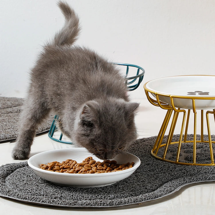 Whisker-Friendly Ceramic Cat Bowl with Stand | Wide Shallow Pet Feeding Dish for Wet Food & Water | Non-Slip Bowl for Cats, Kittens & Small Dogs