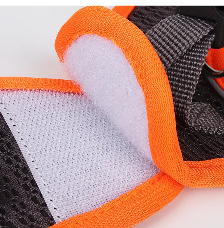 Pawstrip Soft & Reflective Dog Harness with Leash – Comfortable Vest Harness for Small Dogs