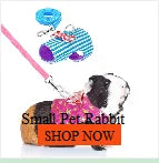 Pet Parakeet Budgie Hanging Play Toys | Bird Cage Wood Branch Stand Perches | Parrot Wooden Holder Perches