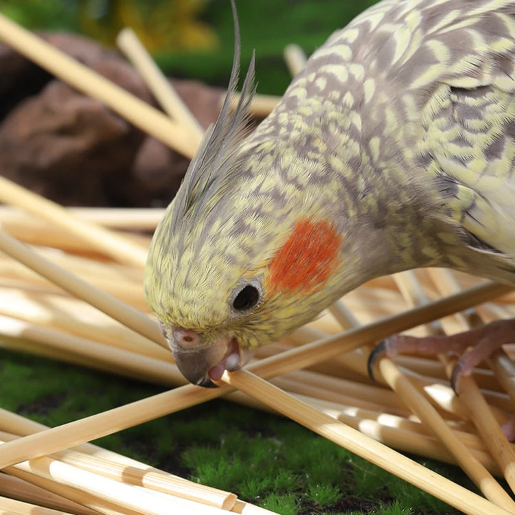 3/100g Ball Bird Toy | Natural Pet Parrot Bite Toys - Budgies | Cockatoo | Parakeet | Cockatiels | Lovebird Cage - Teething Toy | Nest Decor