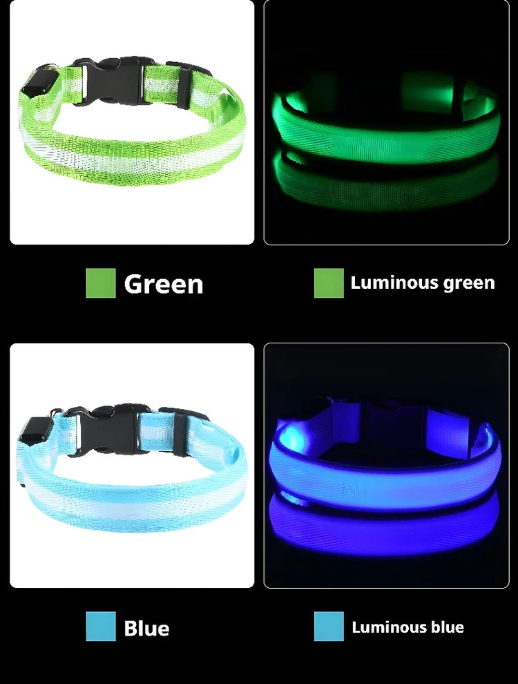 Nylon LED Dog Collar | Night Safety Flashing Glow In The Dark | Dog Leash | LUminous Fluorescent Dog Accessories Collar