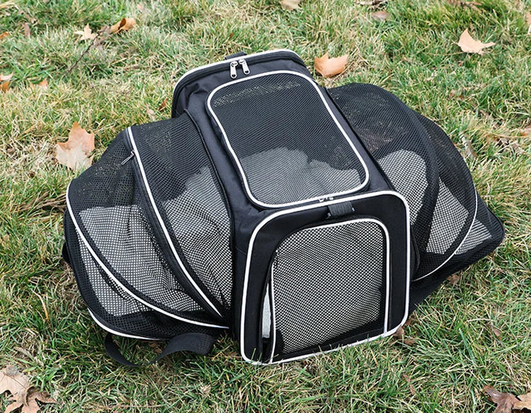 Soft-Sided Dog and Cat Carrier for Kittens – Lightweight & Portable Travel Bag