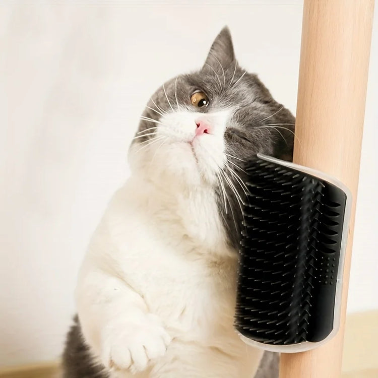 Cat Self Groomer with Massage Comb Brush | Wall-Mounted Kitten/Puppy Grooming Tool