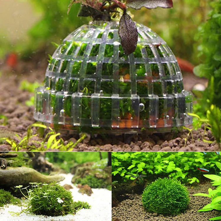 Aquarium Moss Ball Filter – Aquatic Plant Holder and Water Purifier for Fish Tanks and Shrimp Cylinders