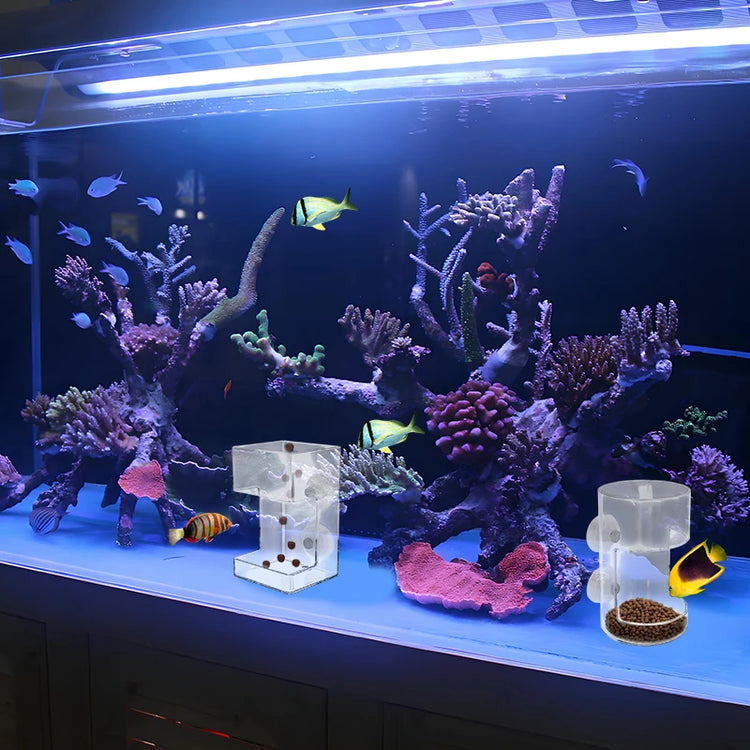 Fish Feeder for Aquarium – Acrylic Feeding Tube with Suction Cup