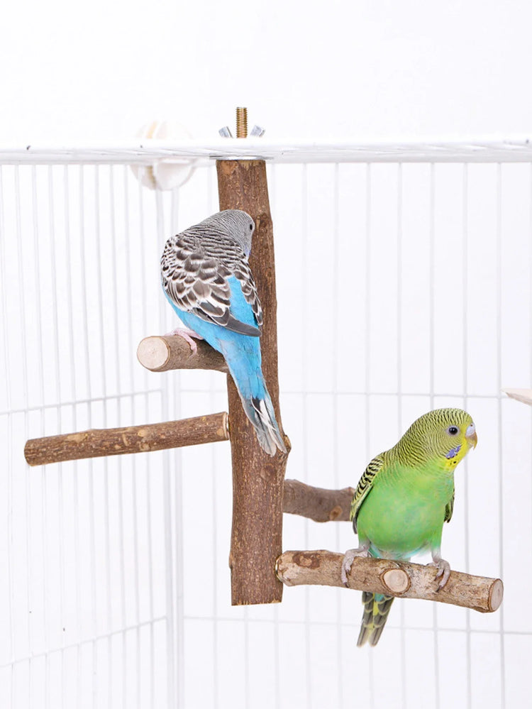 Natural Wood Bird Branch Stand | Perches Pet Parakeet Budgie Hanging Play Toy | Bird Cage Parrot Wooden Desk Holder Perches Platform