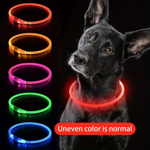 USB Rechargeable LED Luminous Dog Collar – Safety Glowing Night Collar with 3 Light Modes
