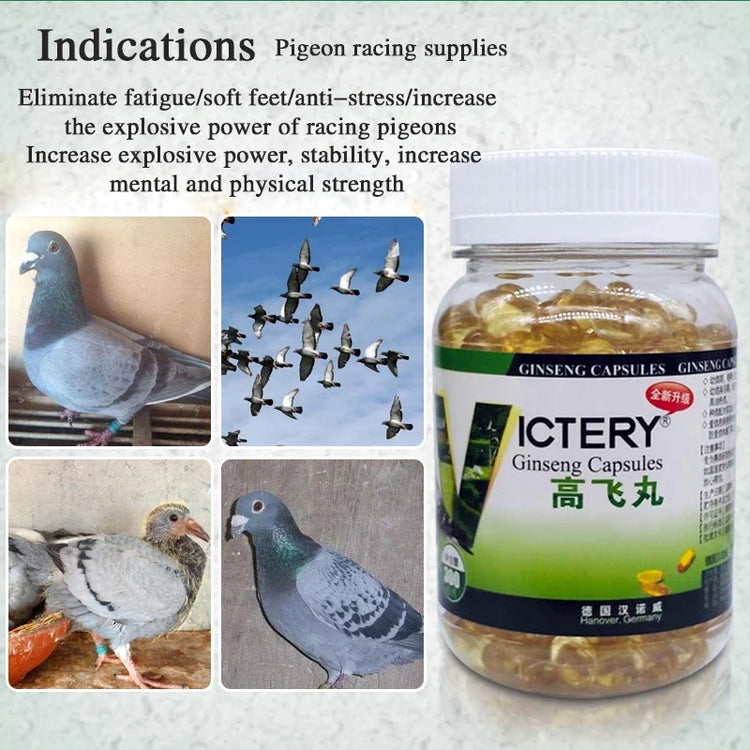 NEW Pigeon racing to enhance explosive power, eliminate fatigue, quickly recover, and return home 300 pigeon health supplements