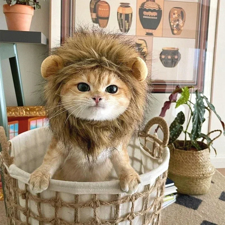 Cute Lion Mane Wig Hat for Cats/Small Dogs | Funny Pet Costume For Halloween, Christmas & Parties