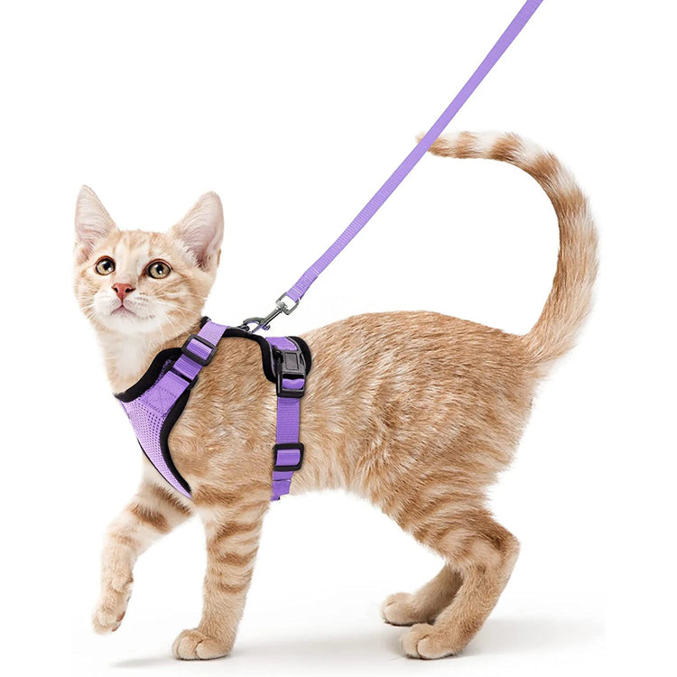 Cat Harness and Leash for Walking | Escape Proof | Soft Adjustable Vest Harnesses for Cats | EasyControl