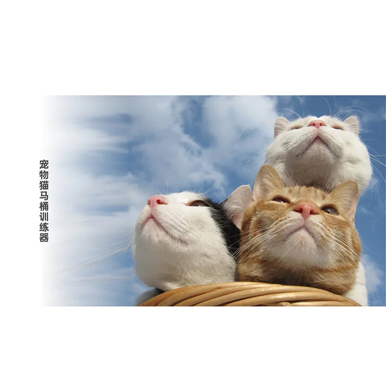 Best Plastic Cat Toilet Training Kit | Reusable Litter Mat & Toilet Trainer for Cats/Puppies | Pets Cleaning & Training Product